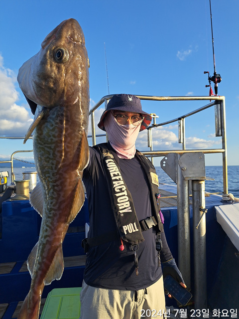 성복호 타이라바, 지깅  왕대구  대박