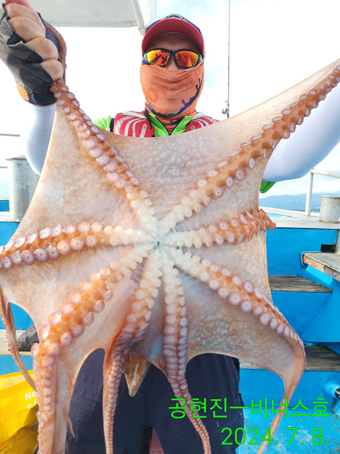 21인승비너스호 문어조황