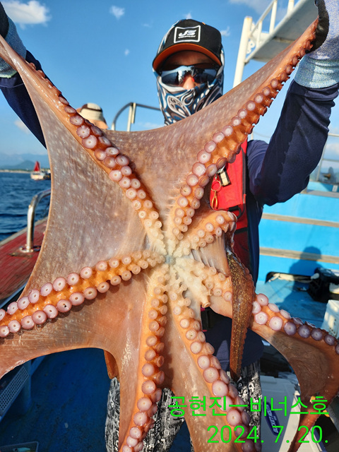 21인승비너스호 문어조황 7/20