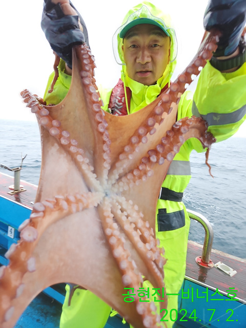 21인승비너스호 문어조황 7/2