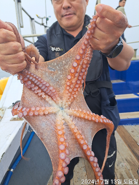 성복호 문어조황 7/13