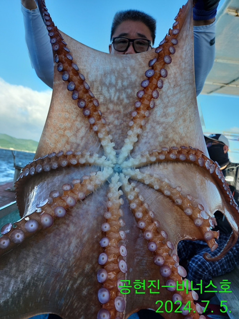 21인승비너스호 문어조황