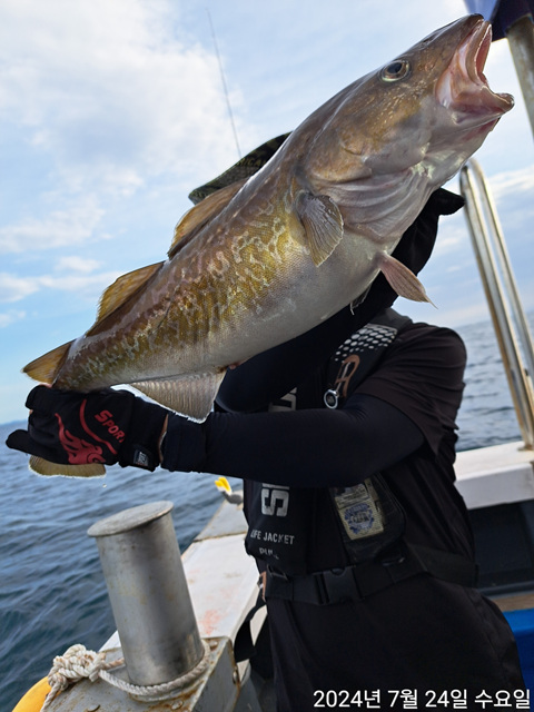 성복호대구조황