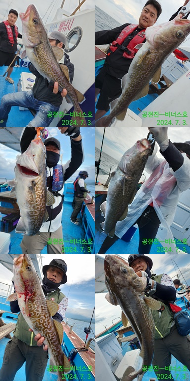 21인승 비너스호 왕대구 대박