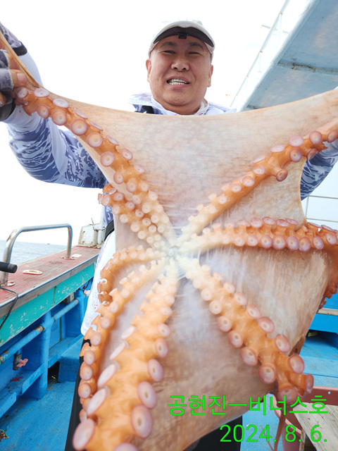 21인승비너스호 문어조황