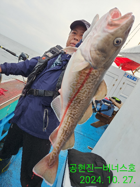 21인승 비너스호 왕대구조황 10/27