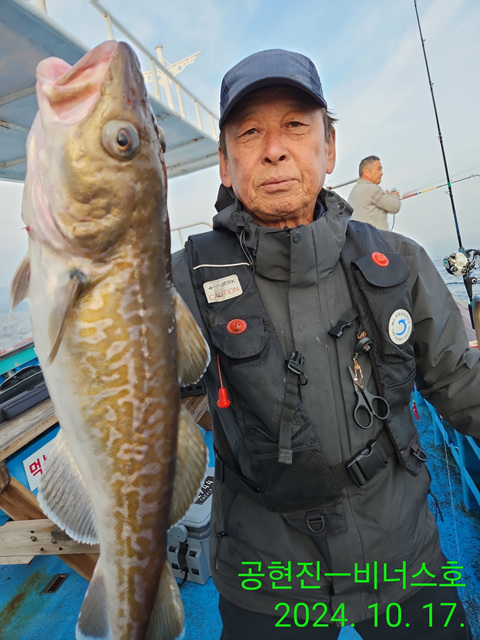 21인승 비너스호 왕대구조황 10/17