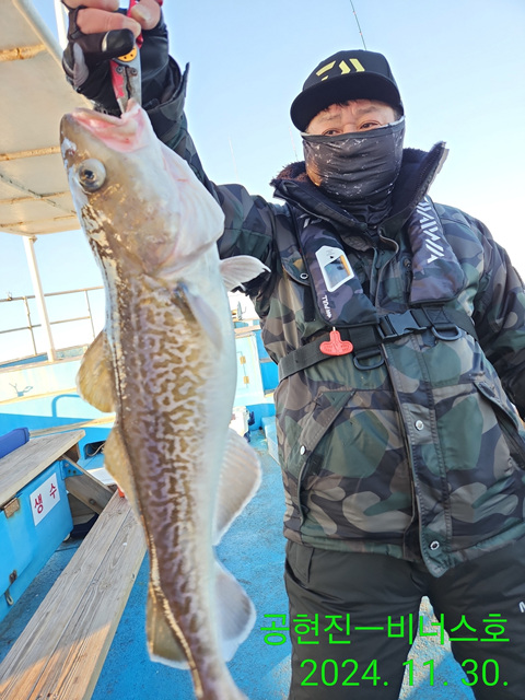 21인승 비너스호 타이라바 왕대구 조황