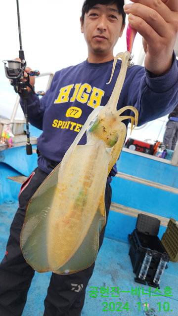 21인승 비너스호 무늬오징어조황 11/10