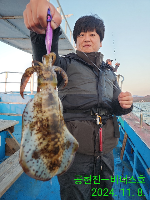 21인승 비너스호 무늬오징어 조황 11/8