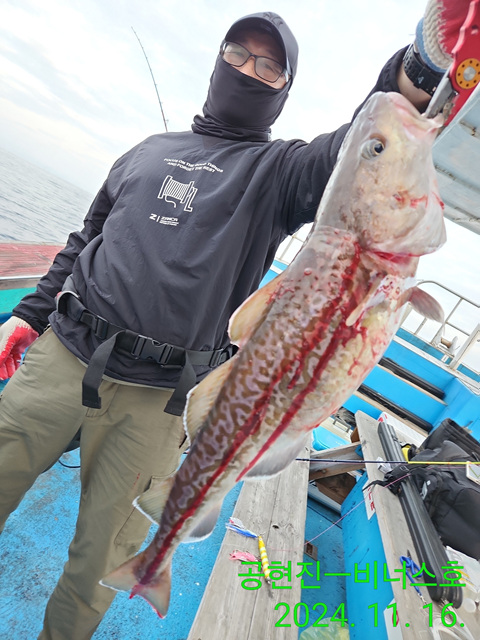 21인승 비너스호 왕대구조황 11/16