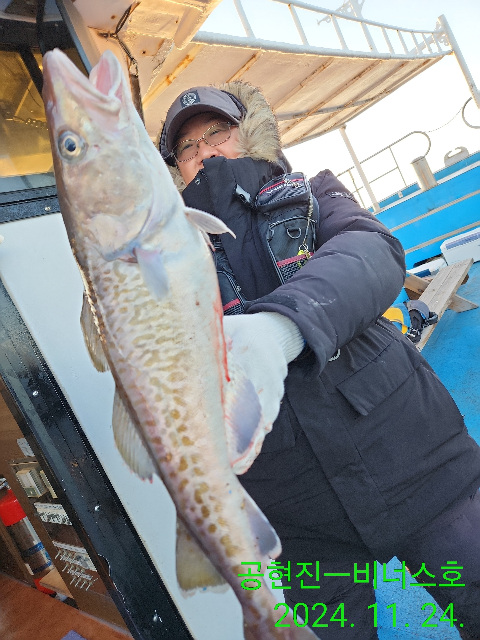 21인승 비너스호 왕대구조황 11/24