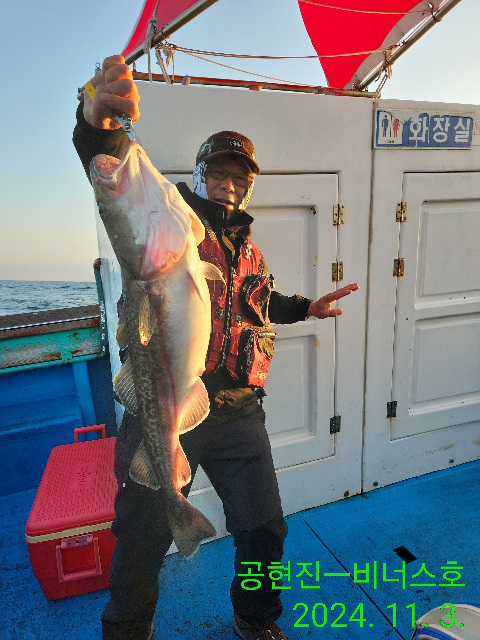 21인승 비너스호 왕대구조황 11/3