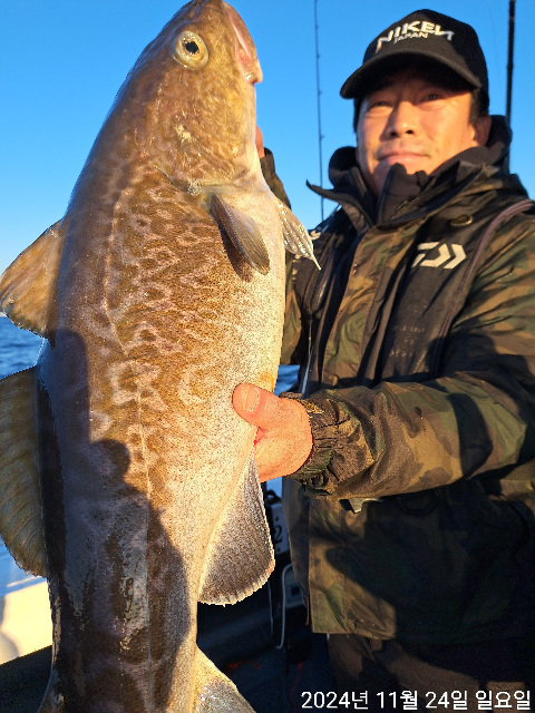 성복호 왕대구 타이라바 대박 11/24