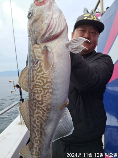 성복호 왕대구 조황 11/10