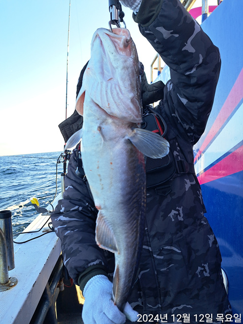 성복호 왕대구조황