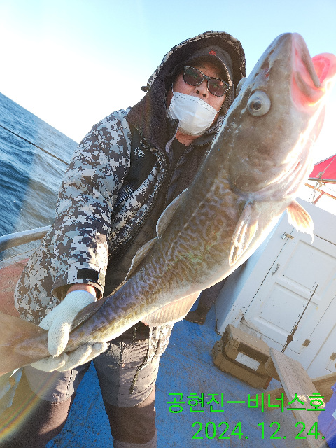 21인승 비너스호 왕대구 조황 12/24