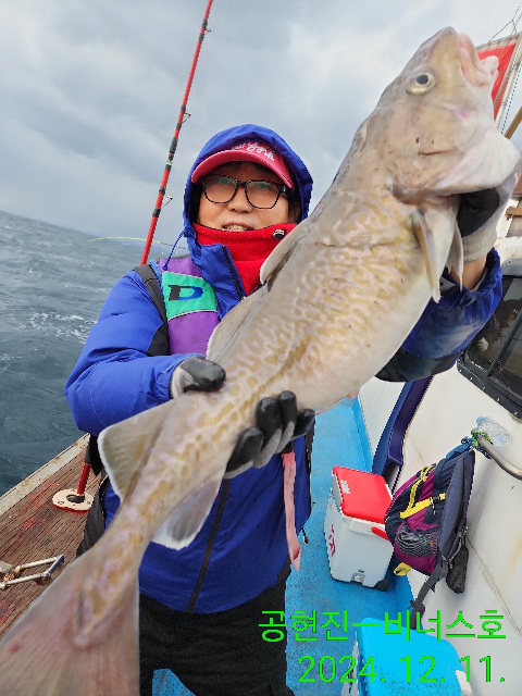 21인승 비너스호 왕대구 조황 12/11