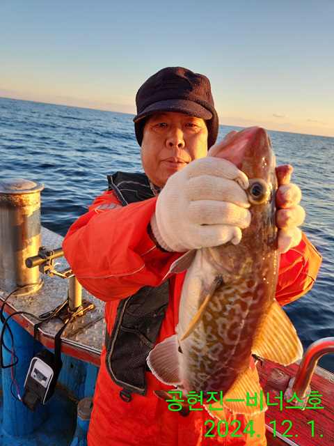 21인승 비너스호 타이라바조황  12/1