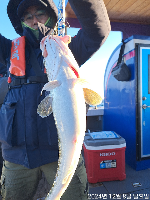 성복호 왕대구 쿨러조황