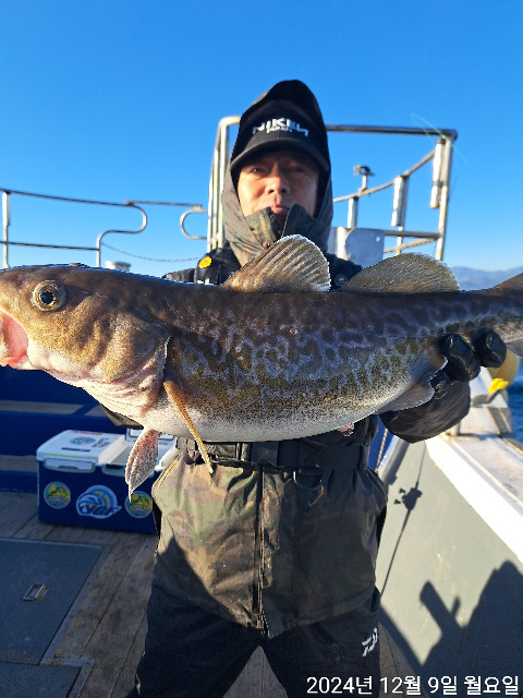 성복호 왕대구 쿨러대박