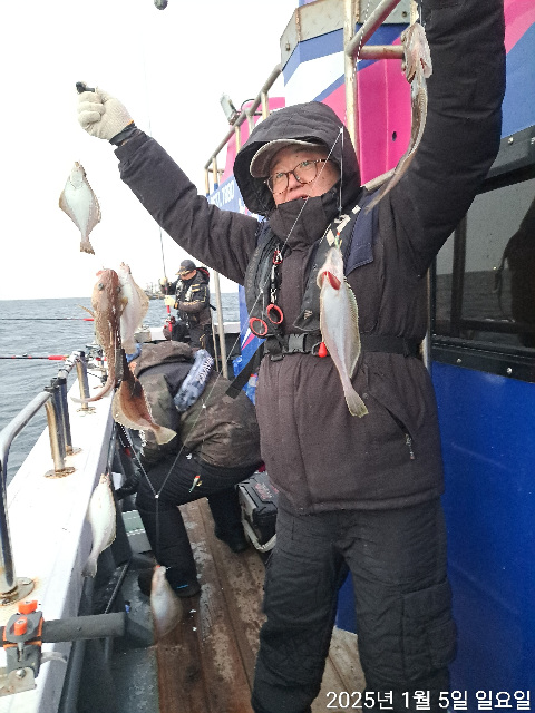 성복호 어구가자미  굿