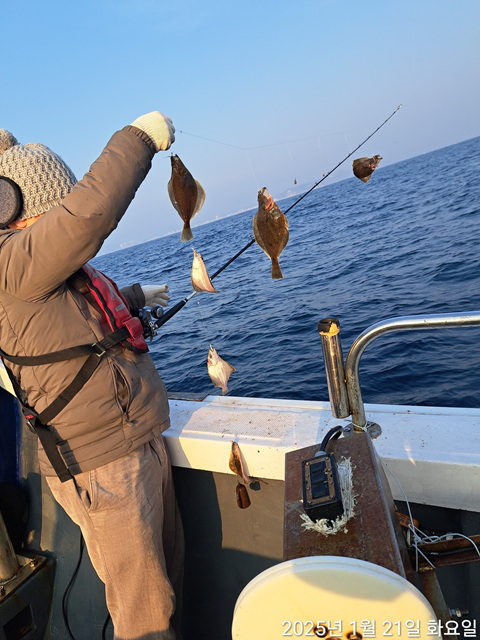 성복호 어구가자미조황