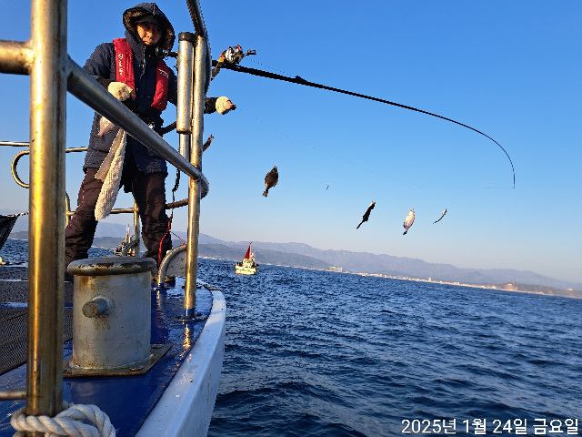 성복호 어구가자미조황