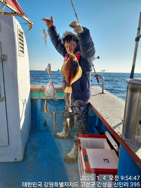 21인승 비너스호 어구가자미조황