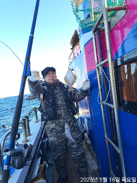 성복호 어구가자미  조황