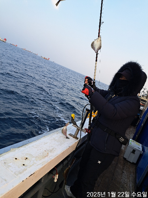 성복호 어구가자미조황 1/22