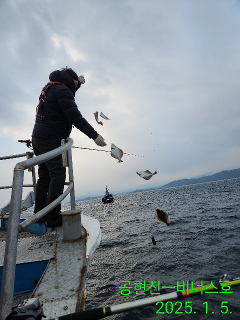 21인승 비너스호 어구가자미 굿