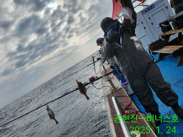 21인승 비너스호 어구가자미조황