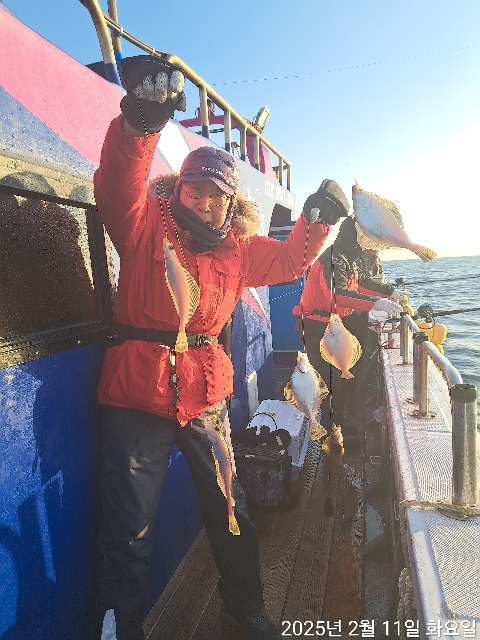 성복호 어구가자미  쿨러조황