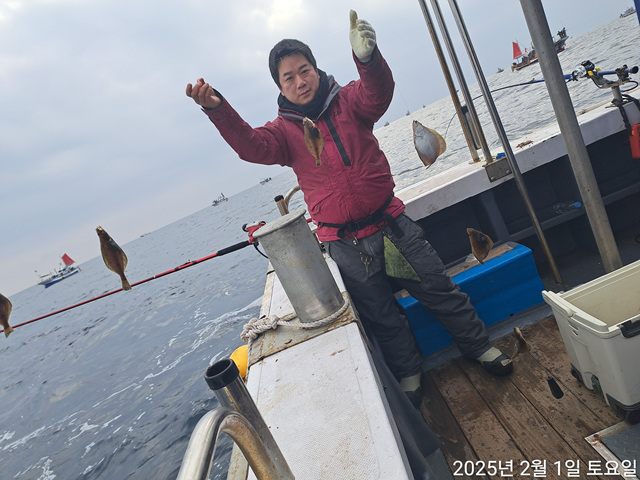 성복호 어구가자미조황