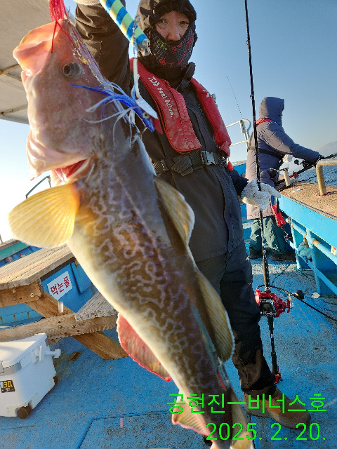 21인승 비너스호 왕대구조황 2/20