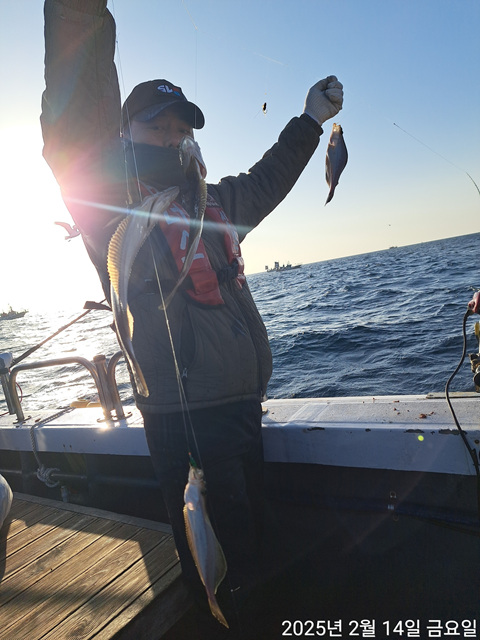 성복호 어구가자미 만쿨 2/14