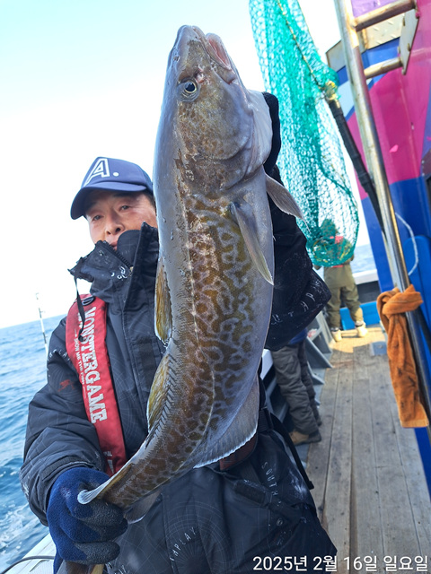 성복호 왕대구 조황 2/16