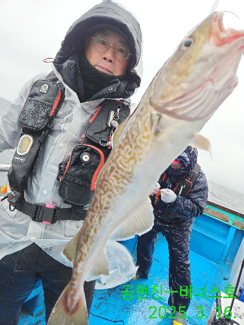 21인승 비너스호 왕대구 타이라바 쿨러조황
