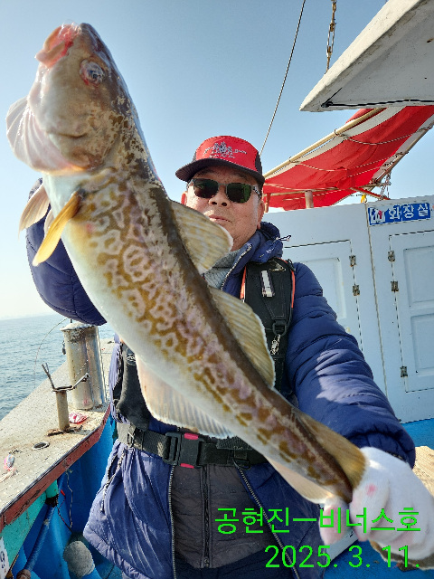 21인승 비너스호 타이라바 왕대구 조황