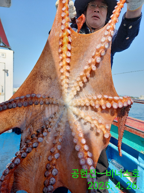 21인승 비너스호 대왕문어  대박 4/26
