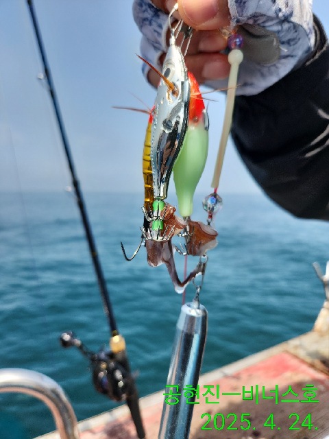 21인승 비너스호 대왕문어  굿 굿