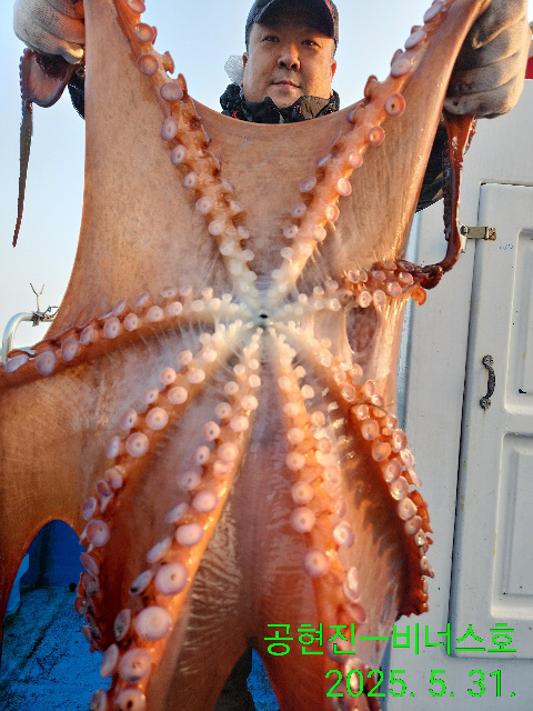 21인승 비너스호대왕문어    참가자미 대박