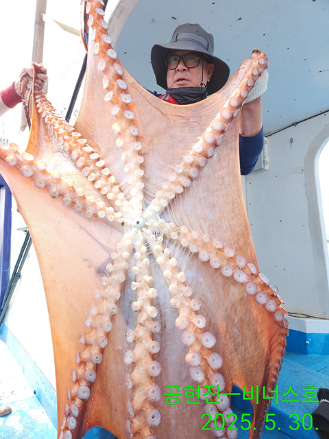 21인승비너스호 대왕문어조황