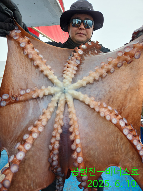 21인승 비너스호 문어 혼자서 4마리 조황