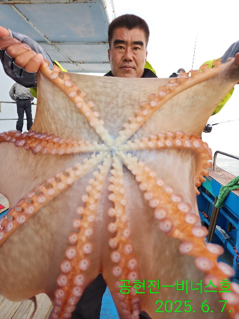 21인승 비너스호문어조황