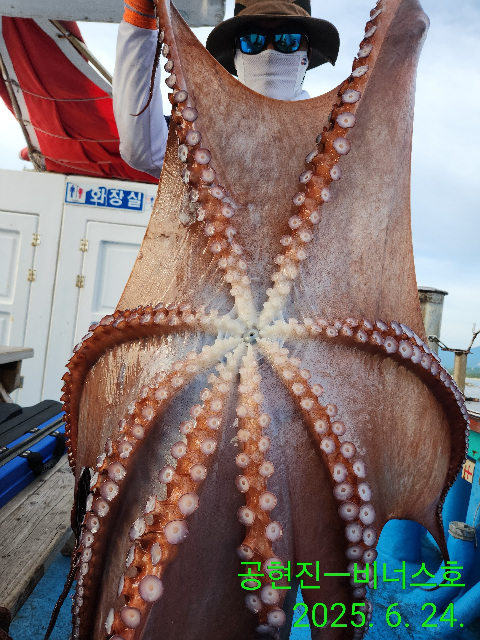 21인승 비너스호 대왕문어 3마리대박