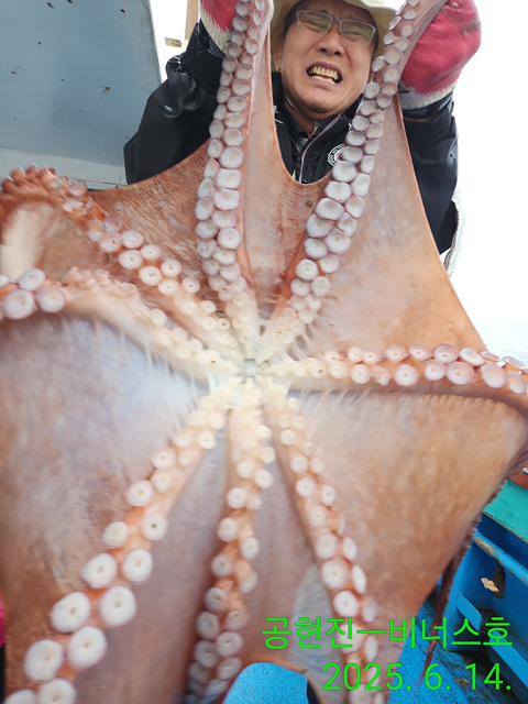 21인승비너스호 대왕문어조황 6/14