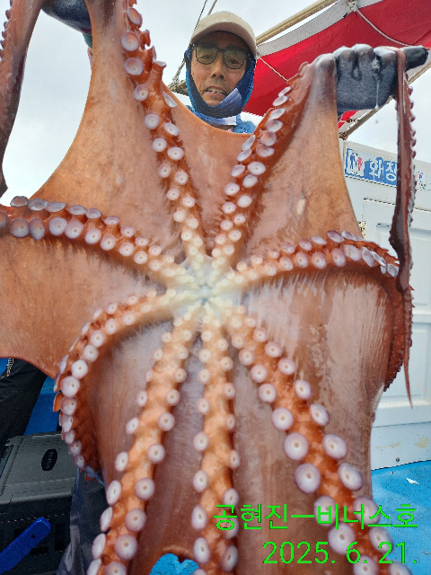 21인승 비너스호 대왕문어조황