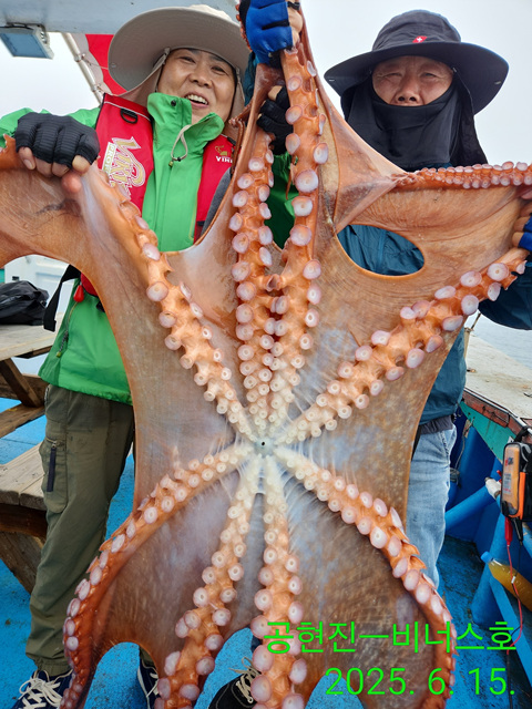 21인승비너스호 대왕3마리 대박 6/15